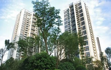 香港2025资料大全