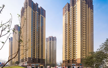 香港2025资料大全