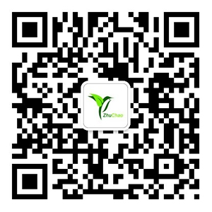 香港2025资料大全